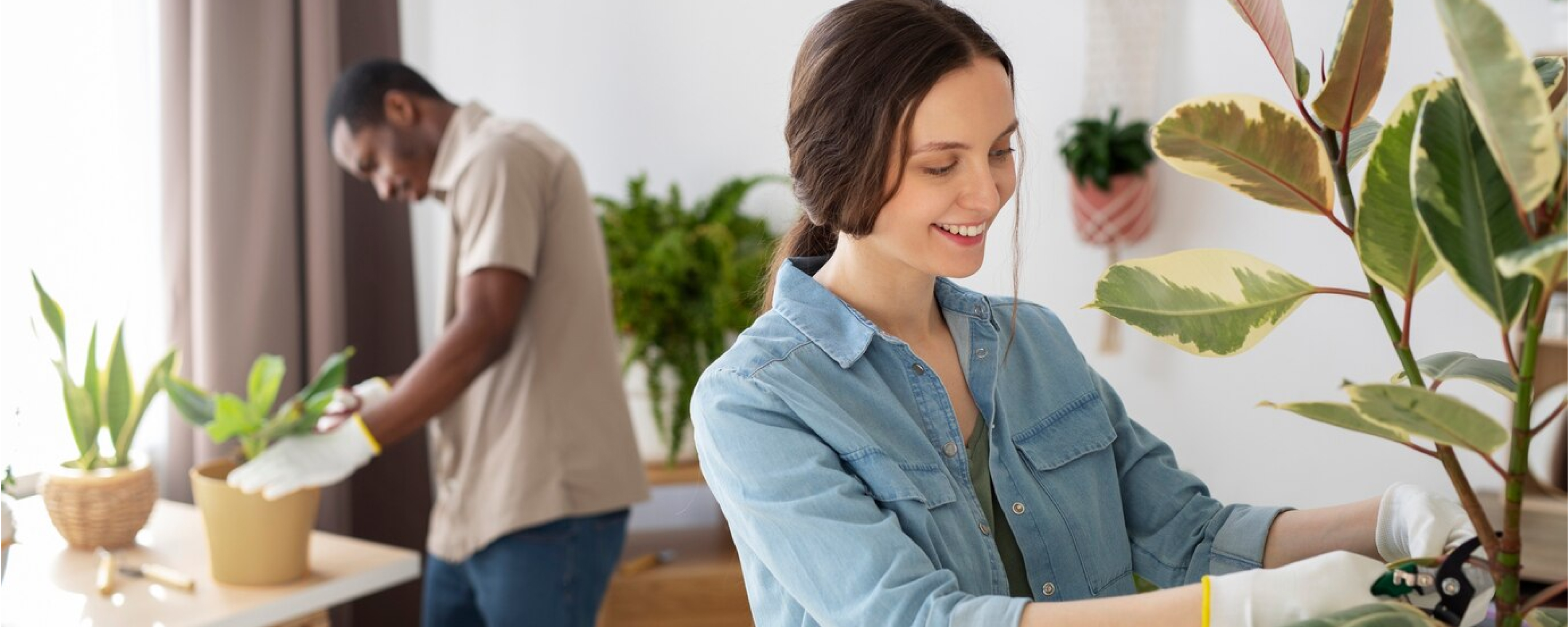 Dicas de especialistas para manter uma casa limpa e saudável